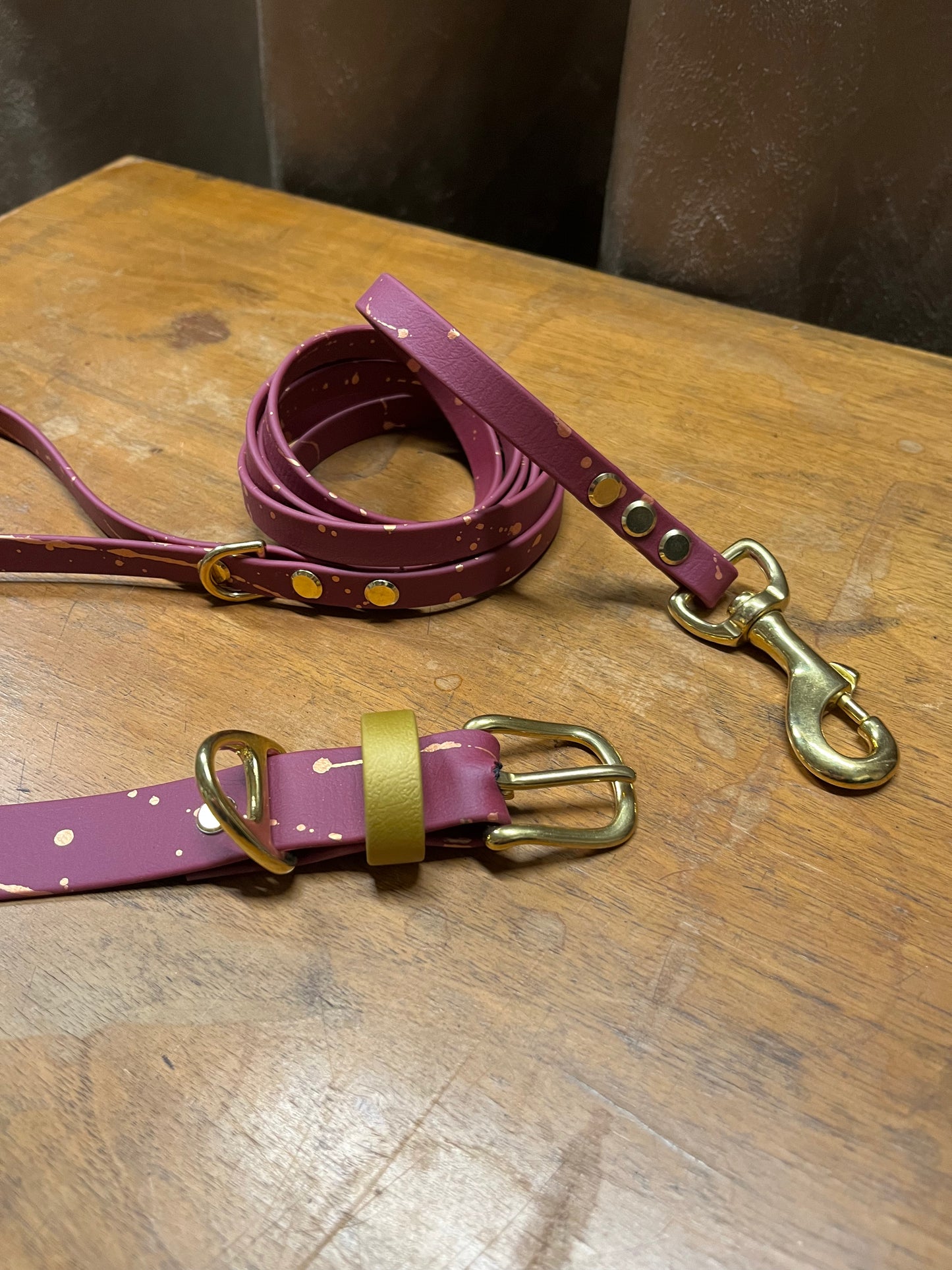 Flinston BIOTHANE leash