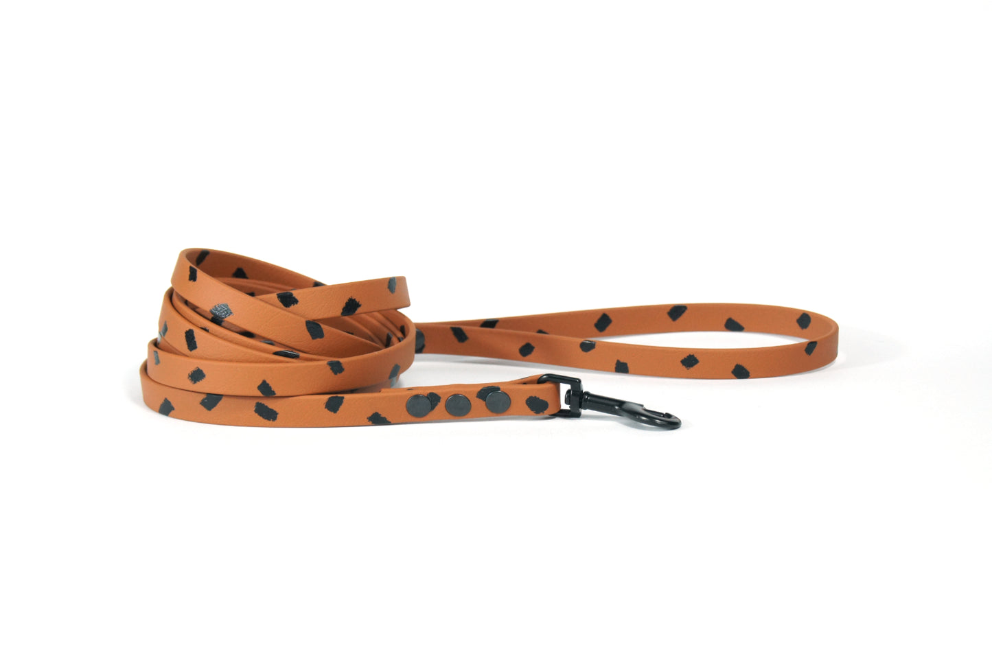 Flinston BIOTHANE leash