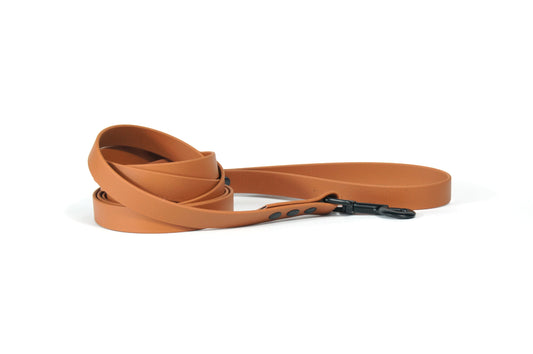 Flam BIOTHANE leash