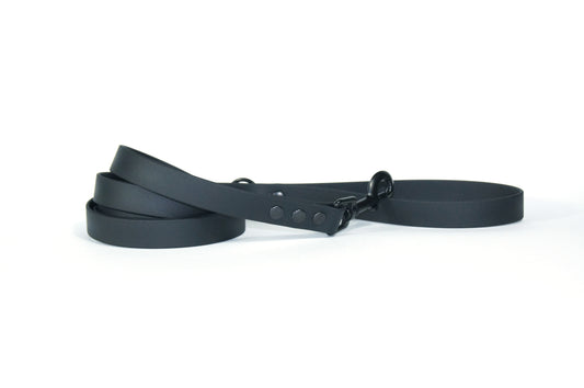 Halden BIOTHANE leash