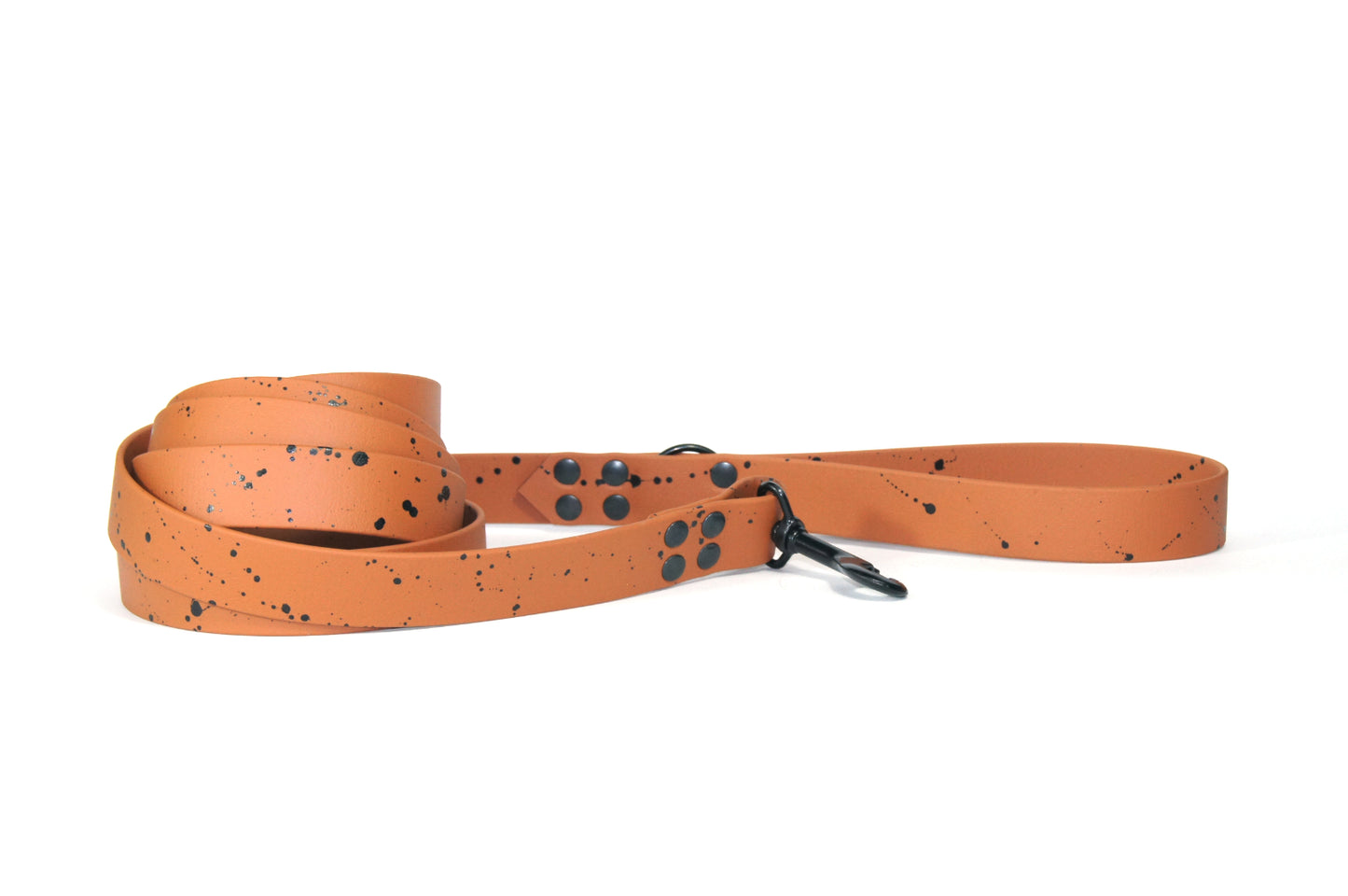 Oslo BIOTHANE leash