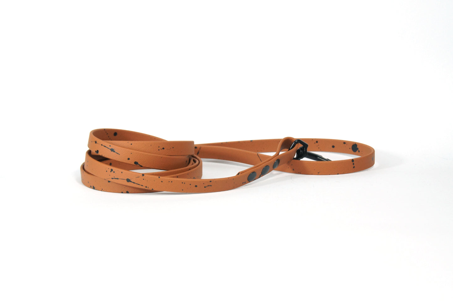 Oslo BIOTHANE leash