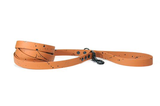 Oslo BIOTHANE leash