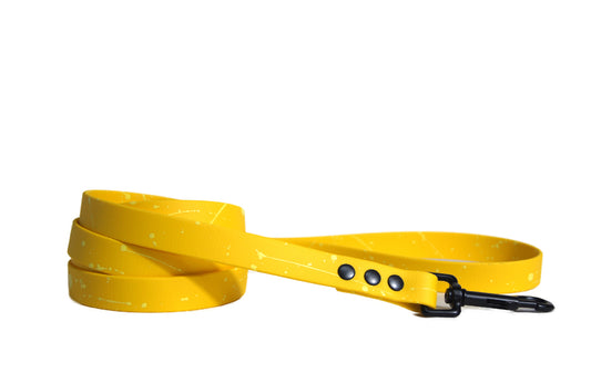 Alta BIOTHANE leash